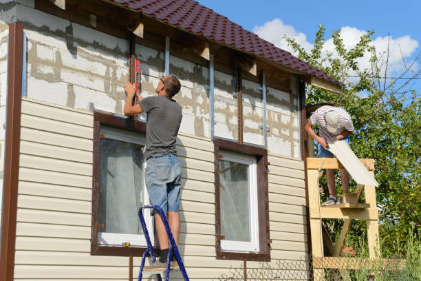 Best Insulated Siding Installation  in Cynthiana, KY